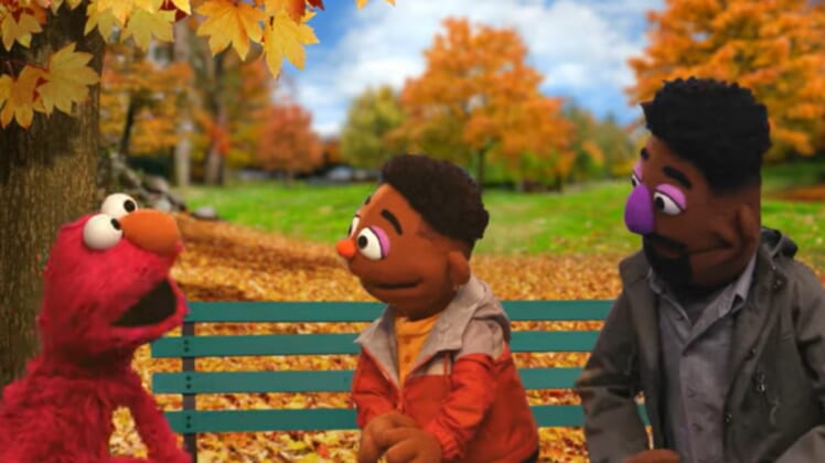 Racism Muppets Sesame Street