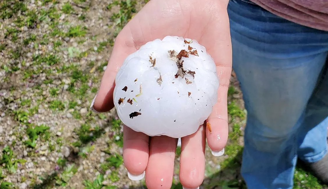 Tornadoes, GrapefruitSized Hail Pound Nation's Heartland Todd Starnes